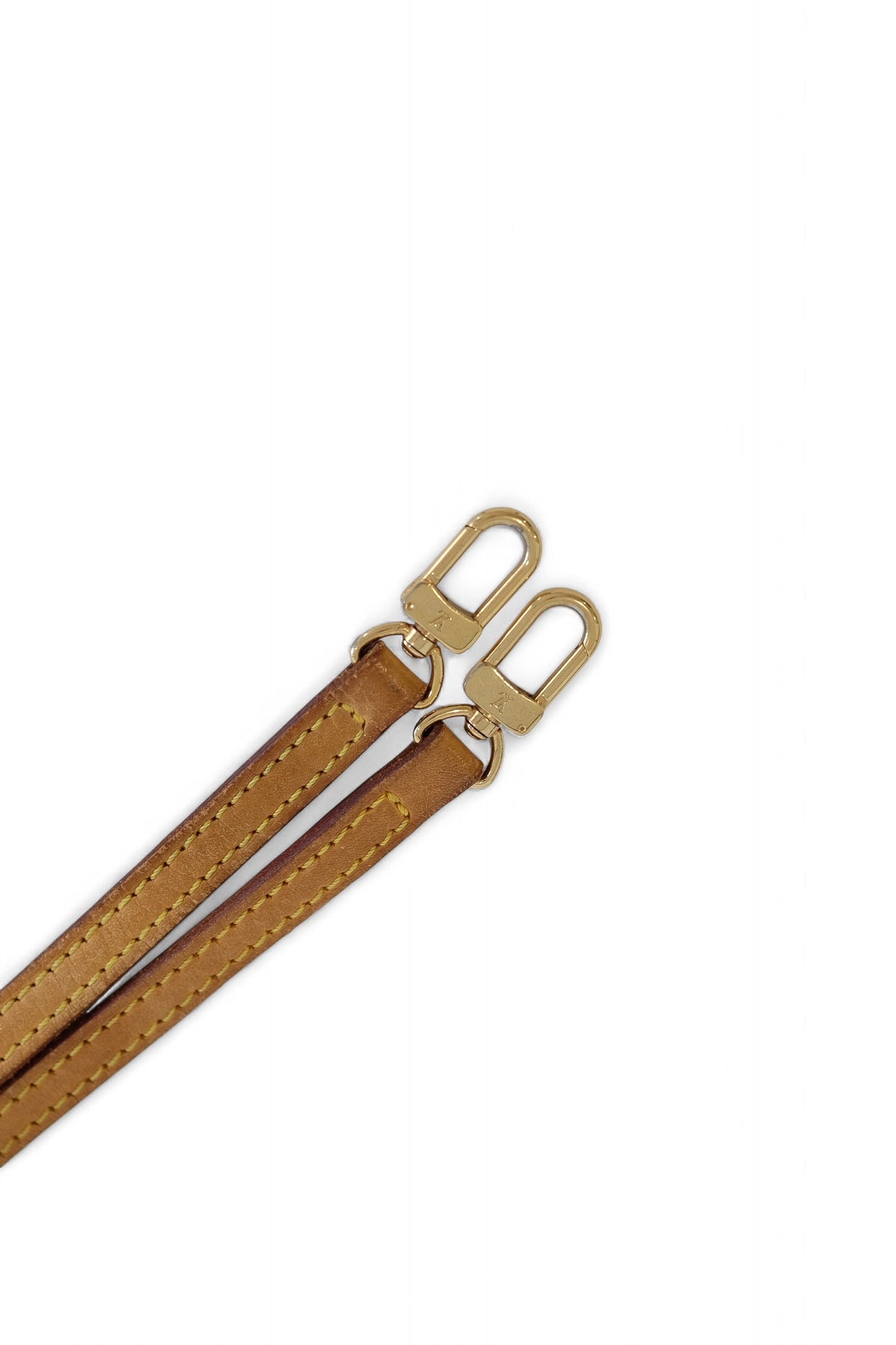 Louis Vuitton Monogram Eva Pouch Shoulder Bag