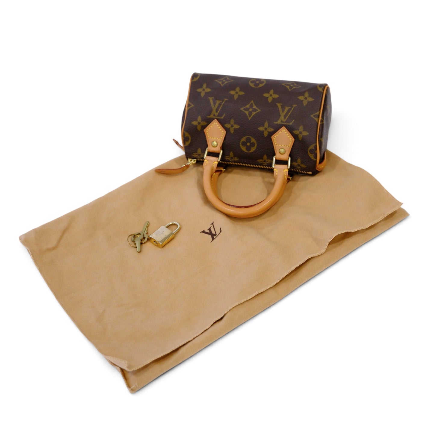 Louis Vuitton Vintage Mini Speedy Bag